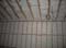 Copy of 100_0057